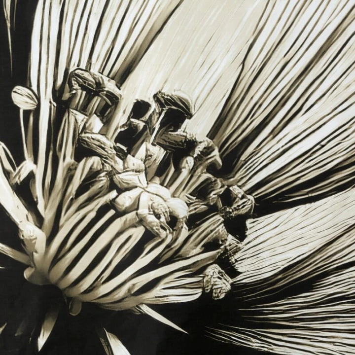 KOMPLET POŚCIELI SATYNOWEJ SPRING 78 160 X 200 CM JASNOBEŻOWY